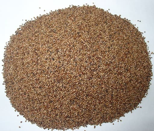 STRAWBERRY SEEDS DRIED for food_ oil pressing CO2 extraction